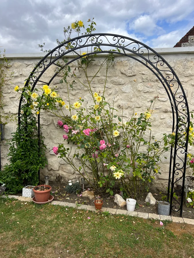 Arche de jardin en fer forgé habillée de plantes grimpantes, L'Art de Faire